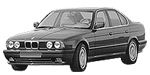 BMW E34 P1233 Fault Code